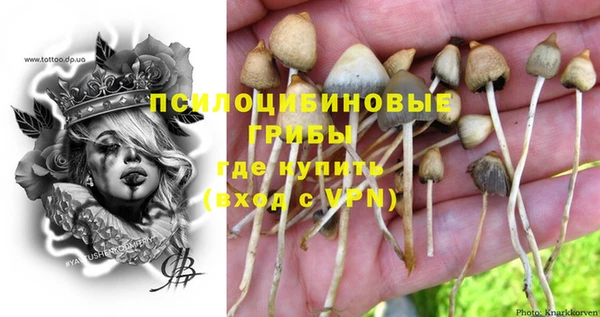прущий лед Алексеевка