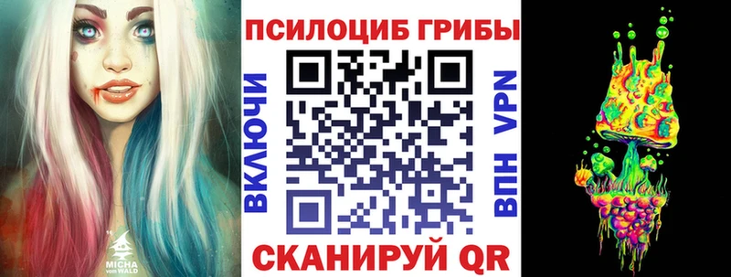 где купить наркоту mega маркетплейс Псилоцибиновые грибы ЛСД Новотитаровская